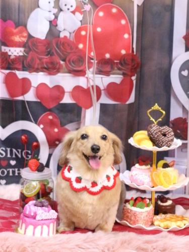 20250209モカちゃん